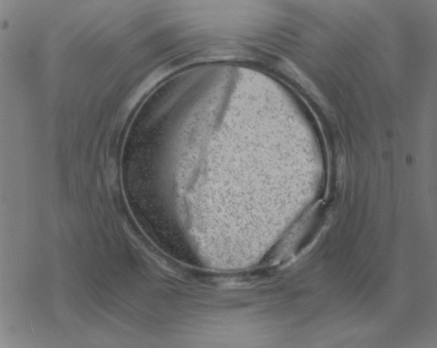 X0000077391465200611101742