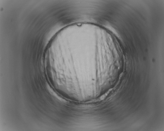 X0000077391468200611101742