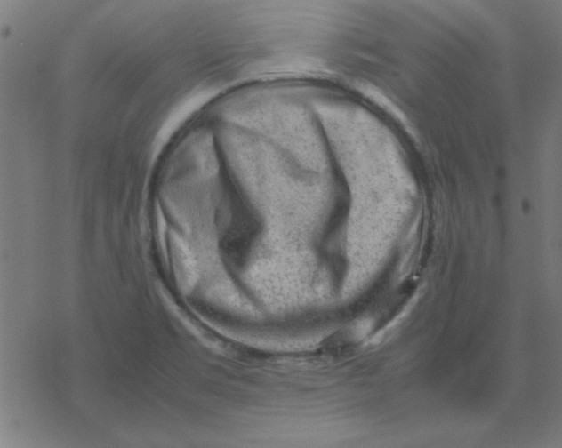 X0000077391469200611101742