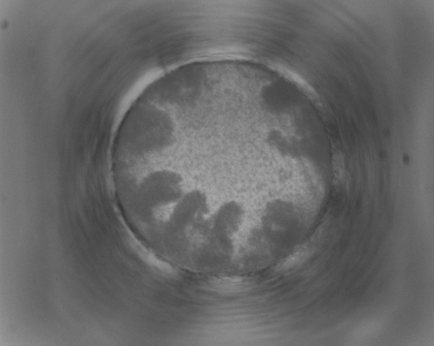 X0000077391470200611101742