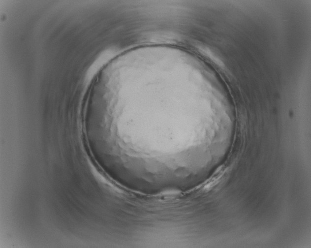 X0000077391471200611101742