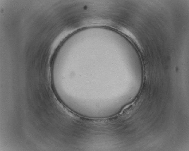 X0000077391472200611101742