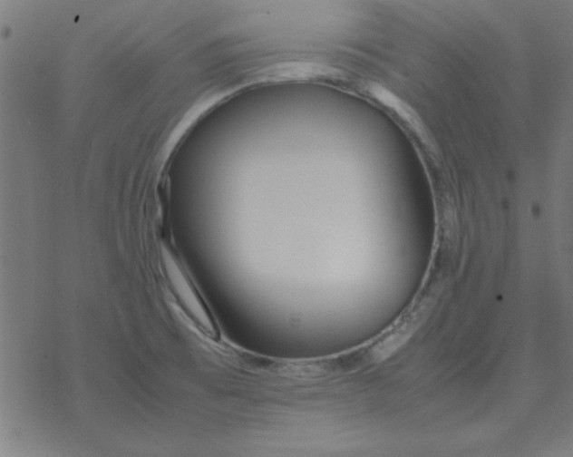 X0000077391473200611101742