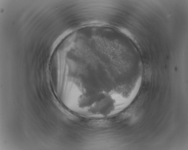 X0000077391474200611101742