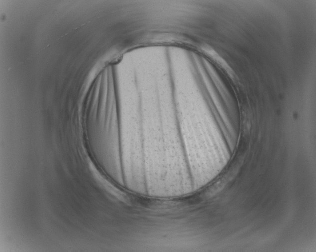 X0000077391475200611101742