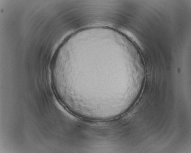 X0000077391476200611101742