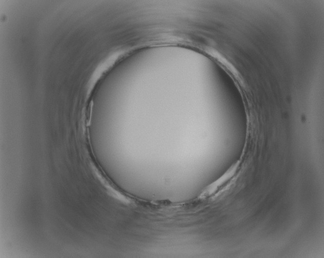 X0000077391477200611101742