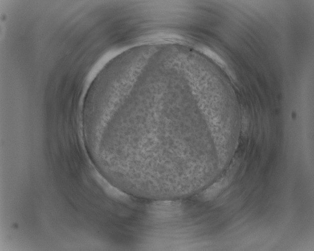 X0000077391478200611101742