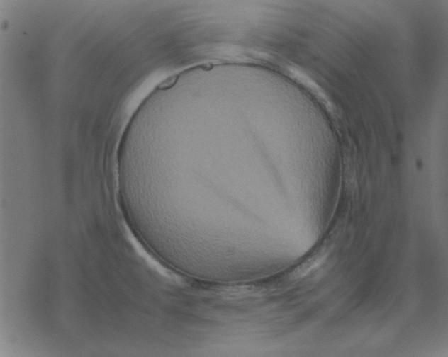 X0000077391479200611101742