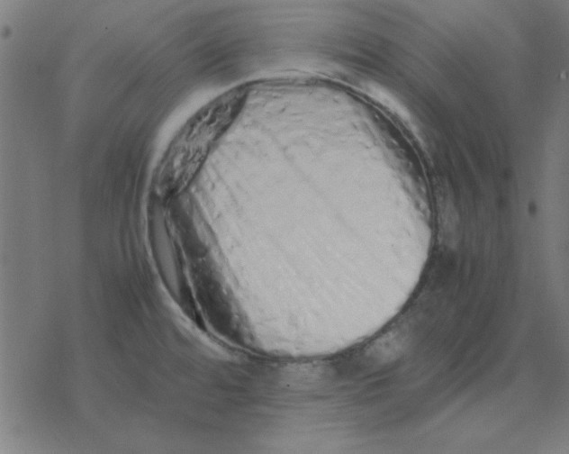 X0000077391480200611101742