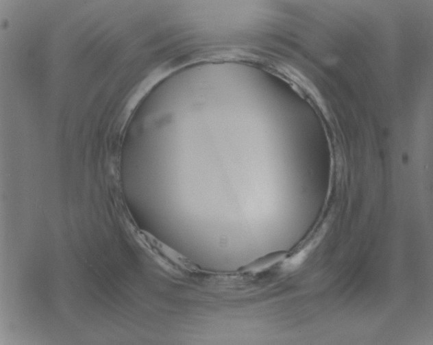 X0000077391481200611101742