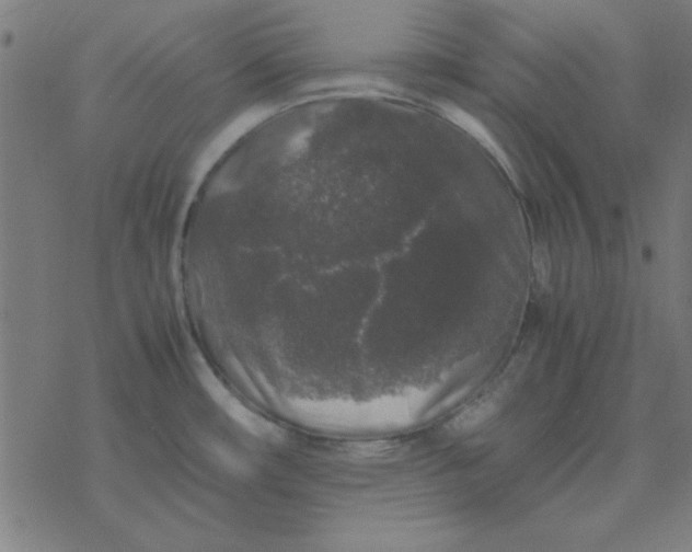 X0000077391482200611101742