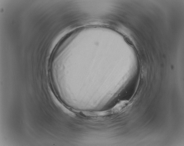 X0000077391483200611101742