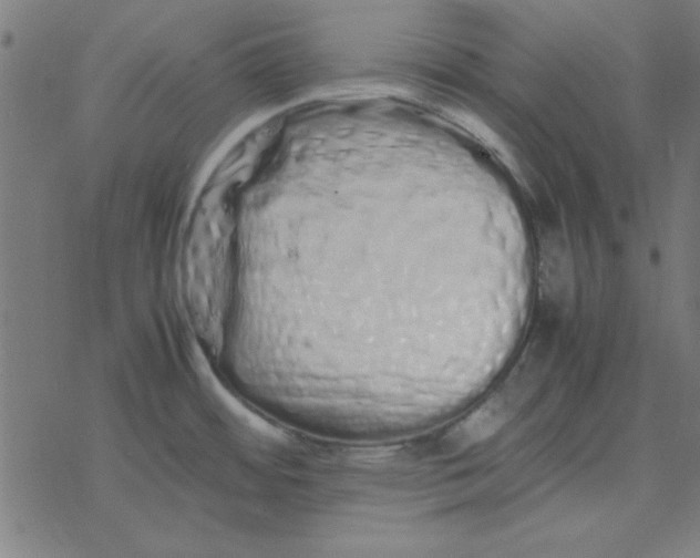 X0000077391484200611101742