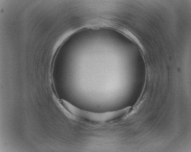 X0000077391485200611101742