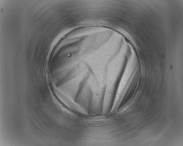 X0000077391486200611101742