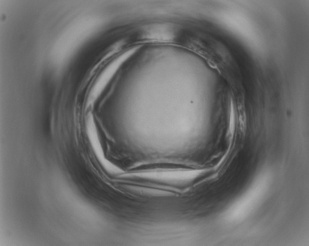 X0000077391487200611101742