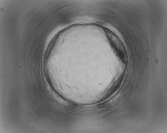 X0000077391488200611101742