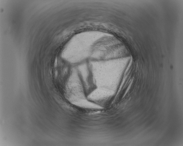 X0000077391489200611101741