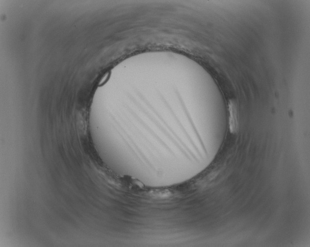 X0000077391491200611101741