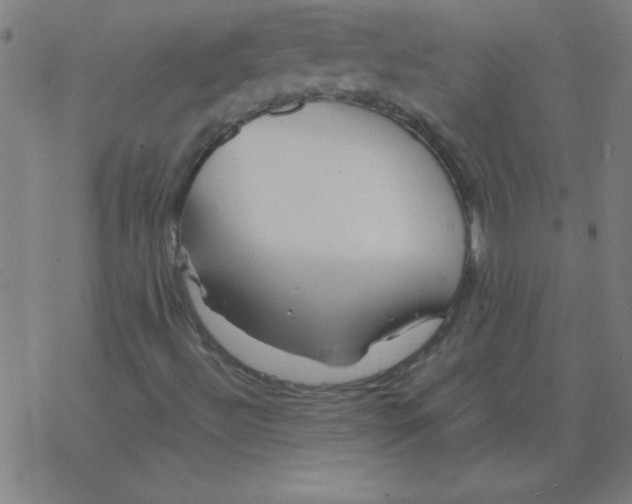 X0000077391492200611101741