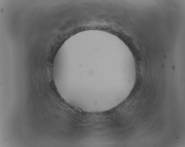 X0000077391493200611101741