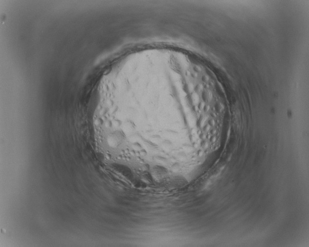 X0000077391494200611101741