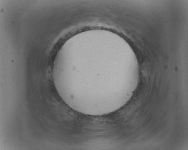 X0000077391495200611101741