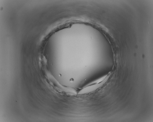 X0000077391496200611101741