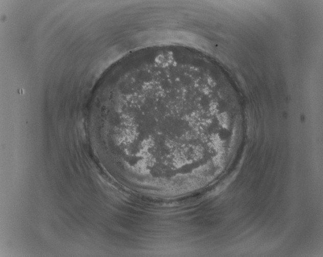 X0000077391497200611101741