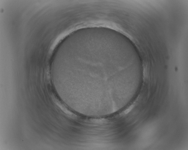 X0000077391498200611101741