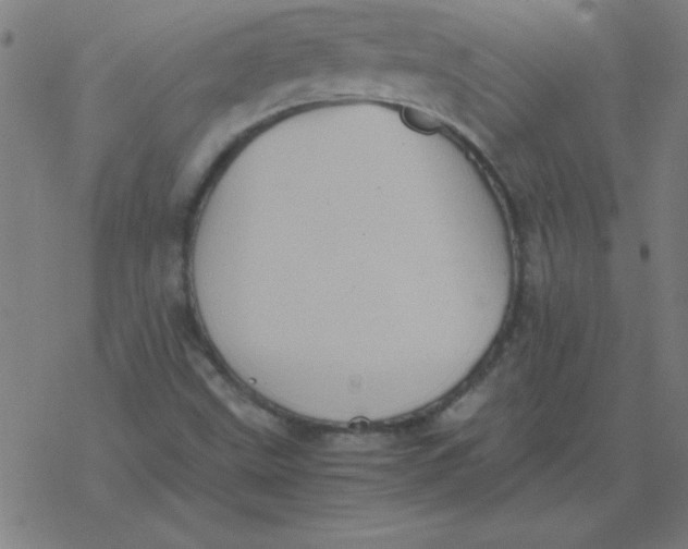 X0000077391499200611101741