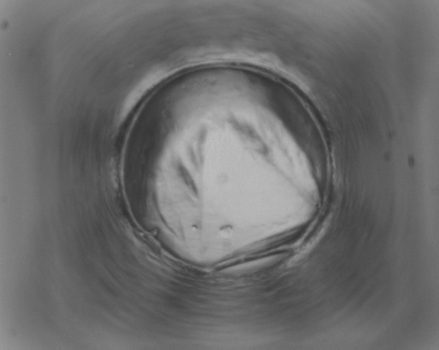 X0000077391501200611101741