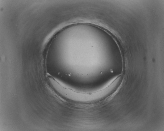 X0000077391502200611101741