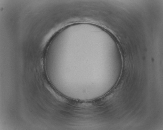 X0000077391503200611101741