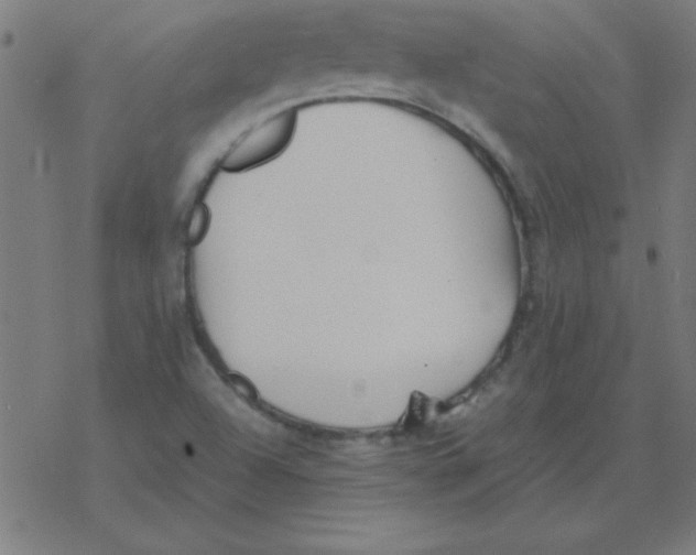 X0000077391504200611101741