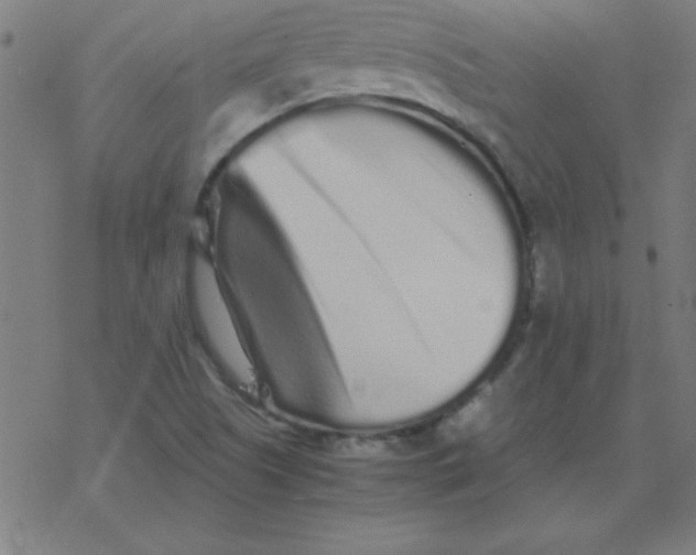 X0000077391505200611101741