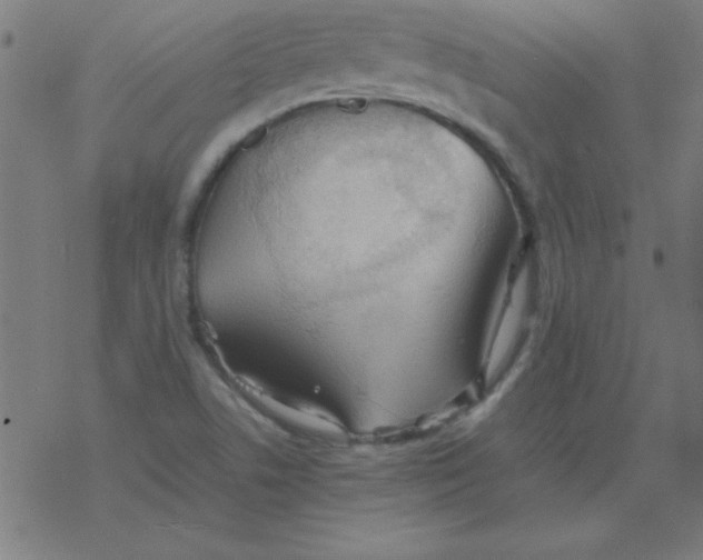 X0000077391506200611101741