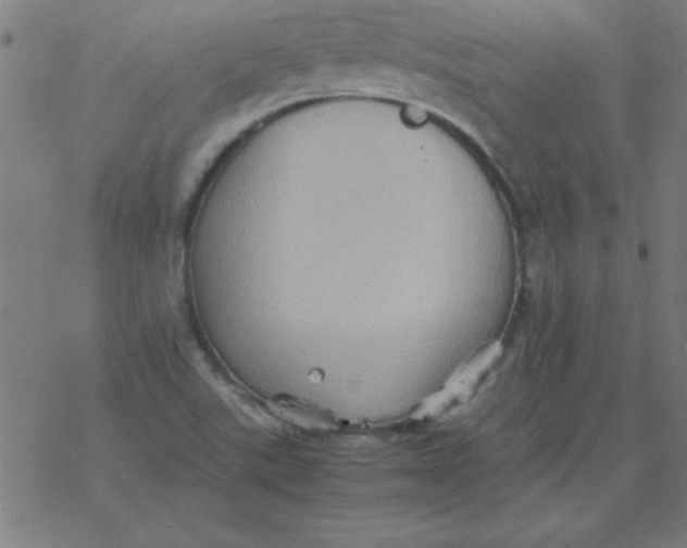 X0000077391507200611101741