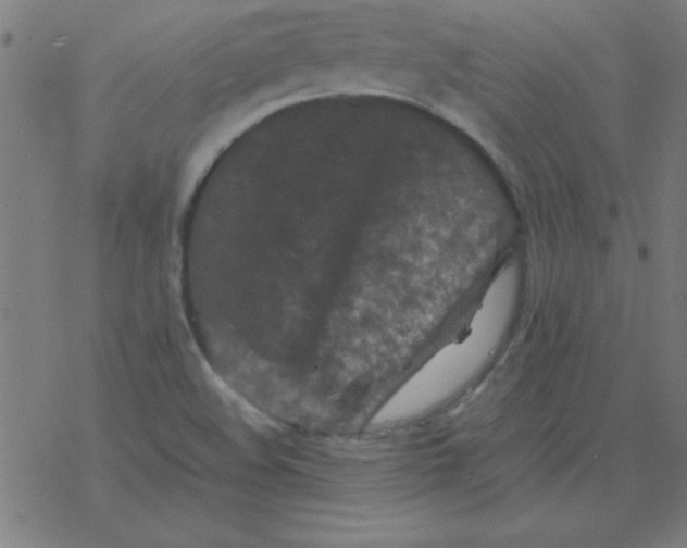 X0000077391508200611101741