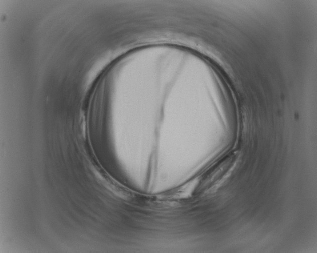 X0000077391509200611101741