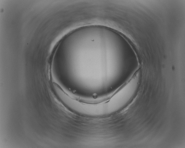 X0000077391510200611101741