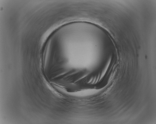 X0000077391511200611101741