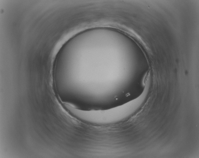 X0000077391512200611101741