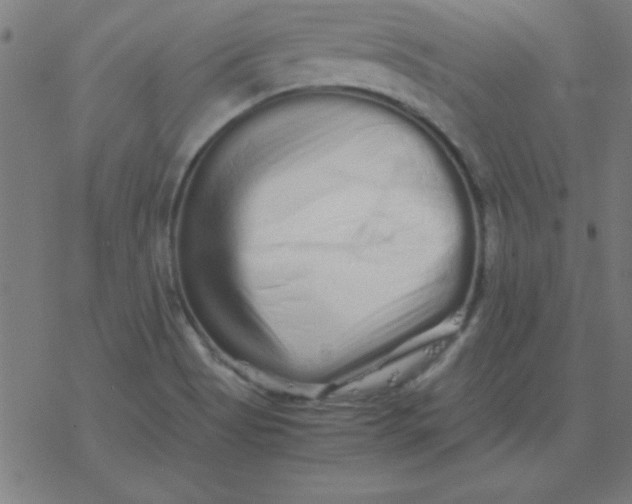 X0000077391513200611101741