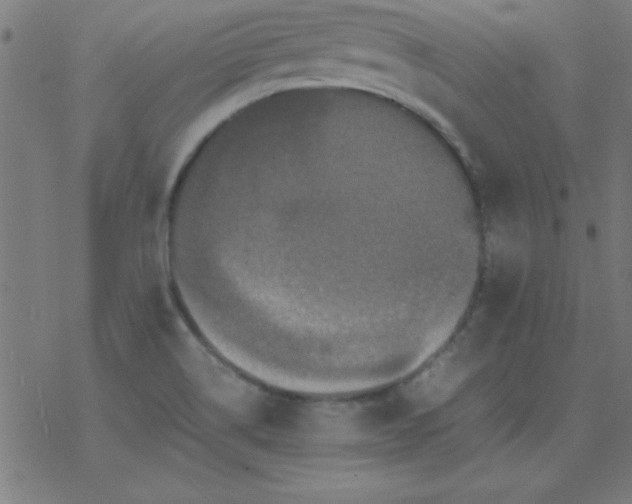 X0000077391514200611101741