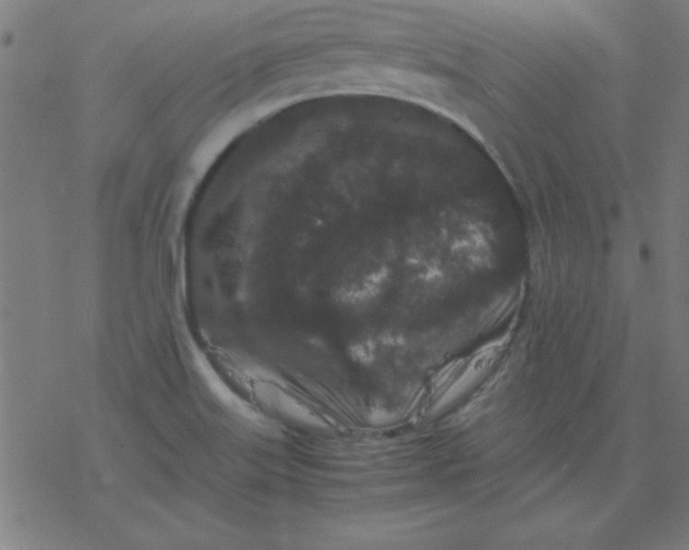 X0000077391515200611101741