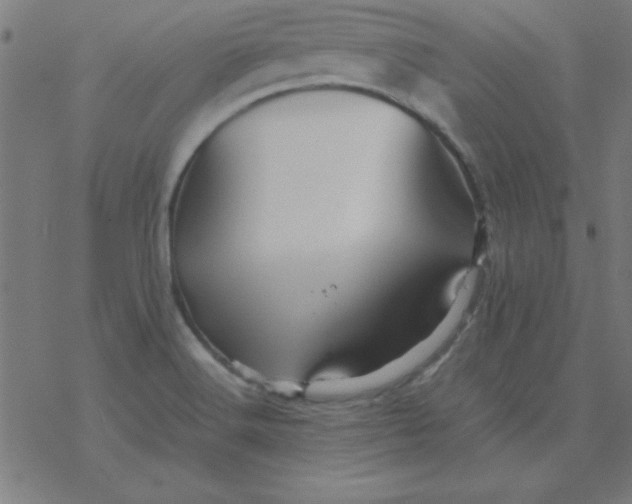 X0000077391516200611101741