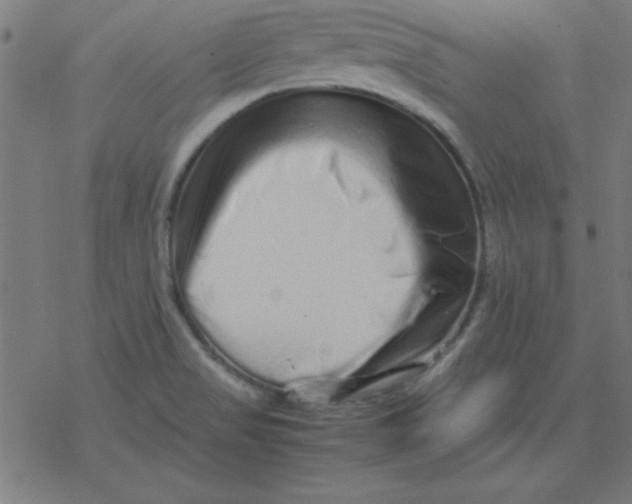 X0000077391517200611101741