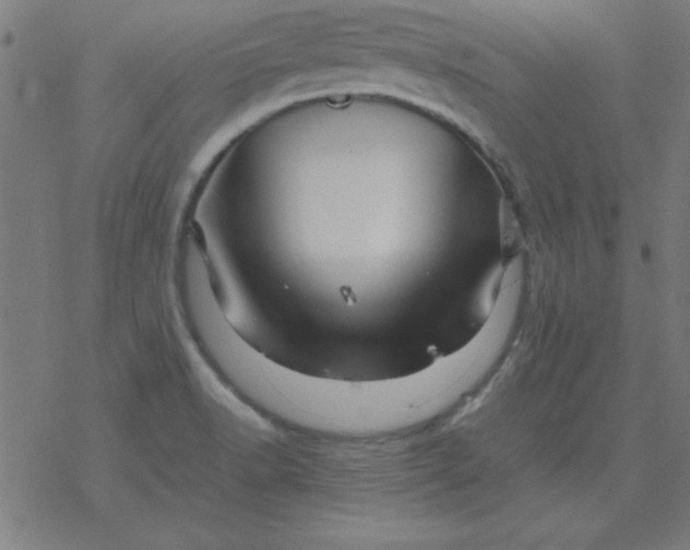 X0000077391518200611101741